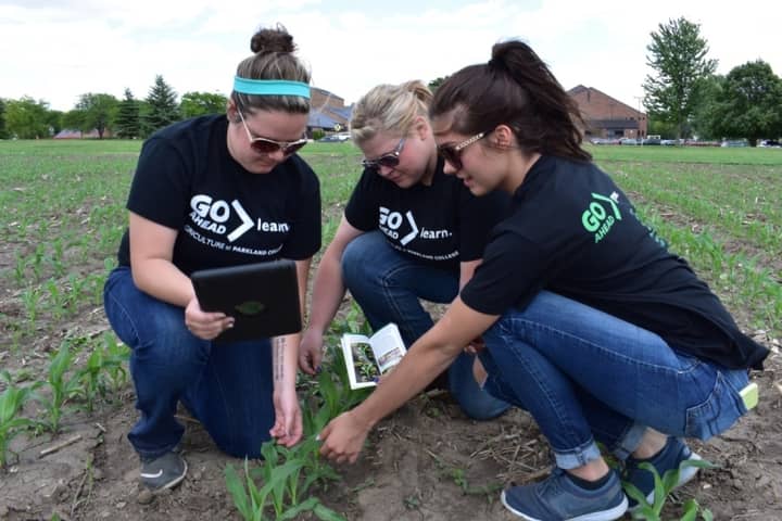 three female students with ipads kneeling on soil